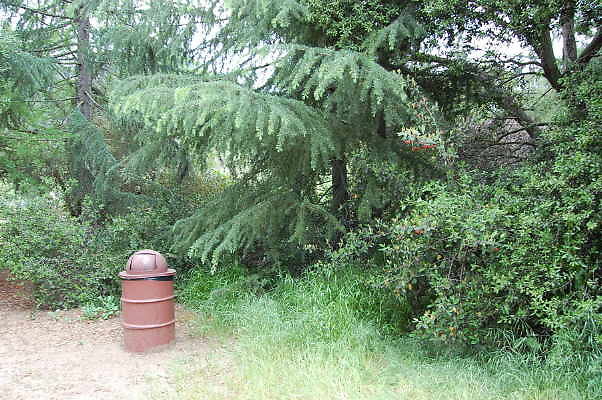 DSC 0042