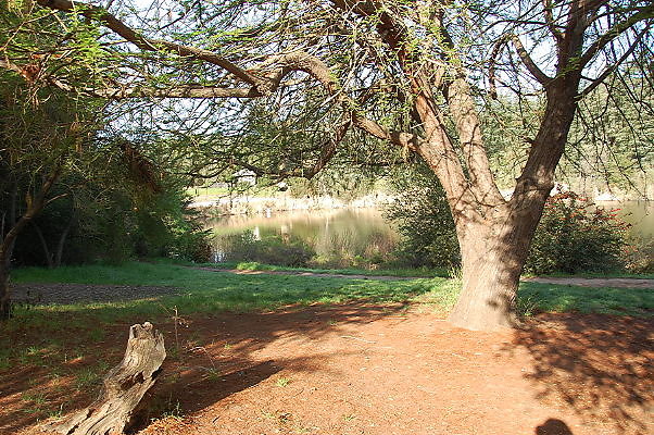 DSC 0005