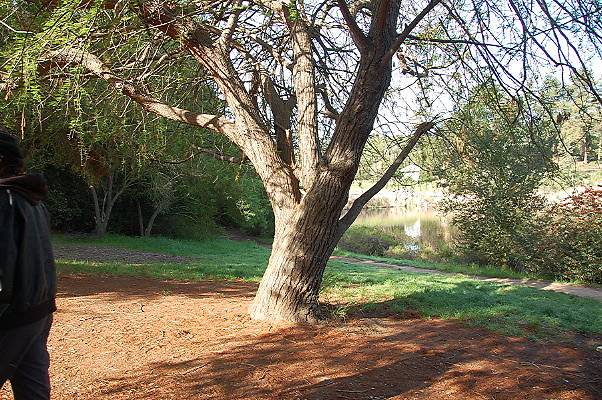 DSC 0009