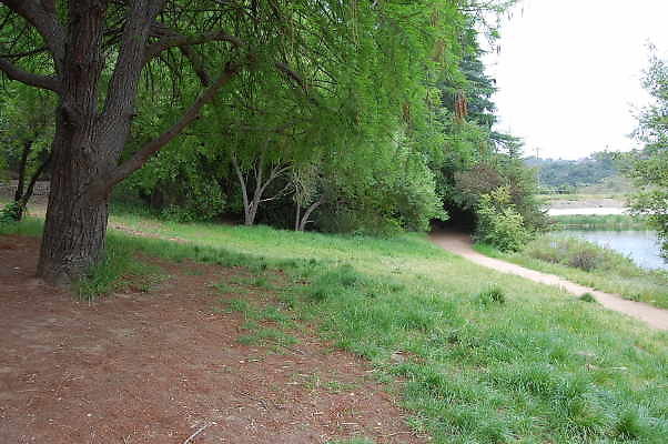 DSC 0052