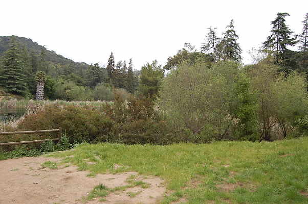 DSC 0051