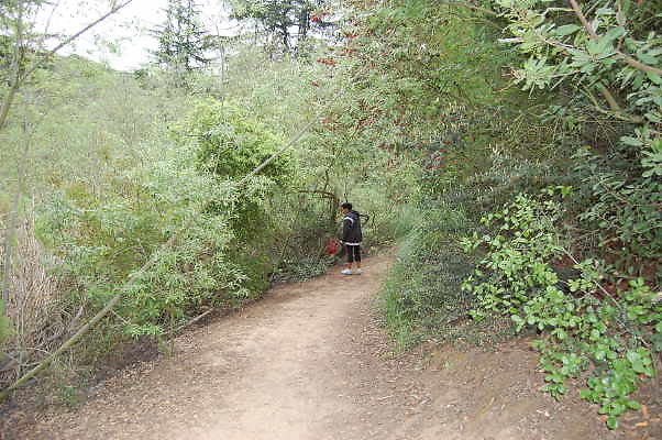 DSC 0056