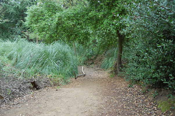 DSC 0058