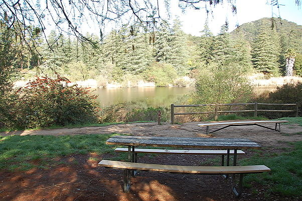 DSC 0001