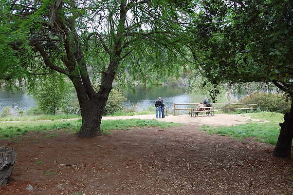 DSC 0044