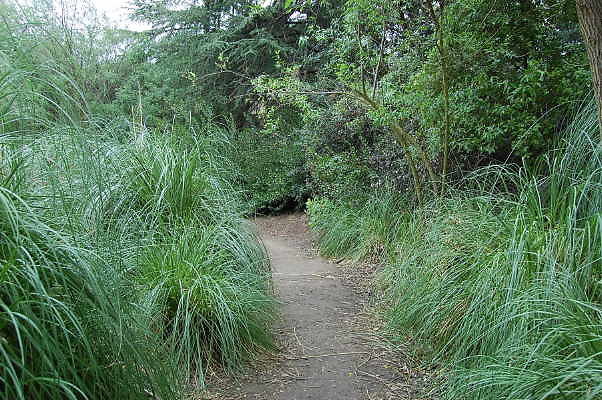 DSC 0062