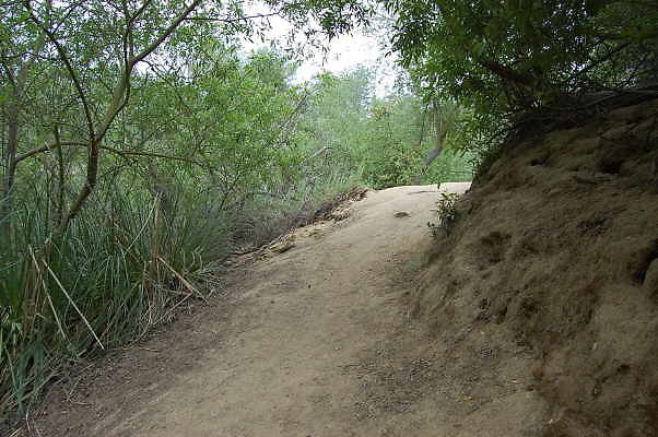 DSC 0065