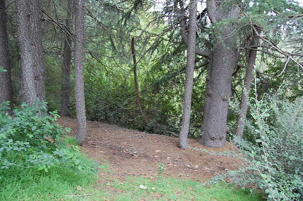 DSC 0067