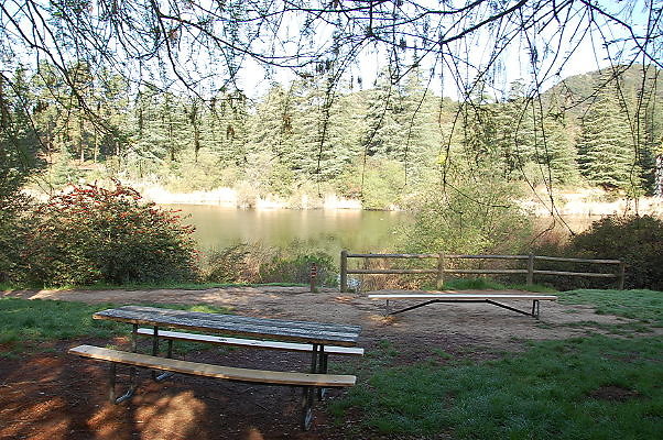 DSC 0007
