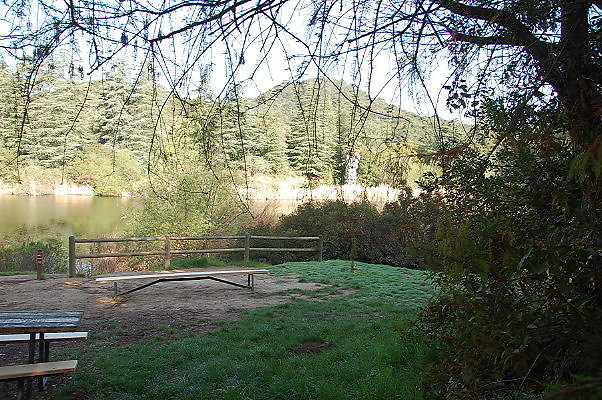 DSC 0008