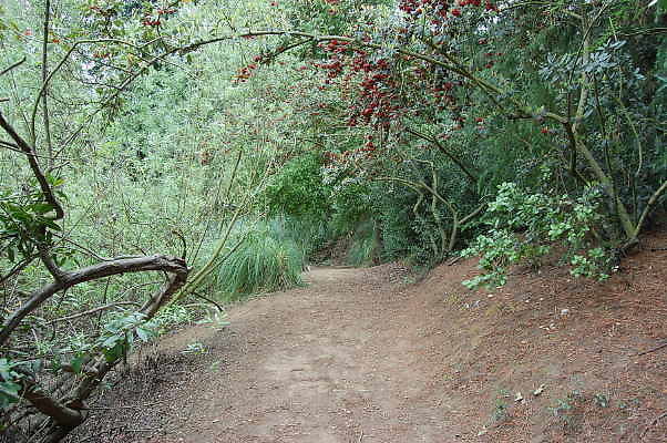 DSC 0057