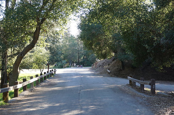 DSC07789