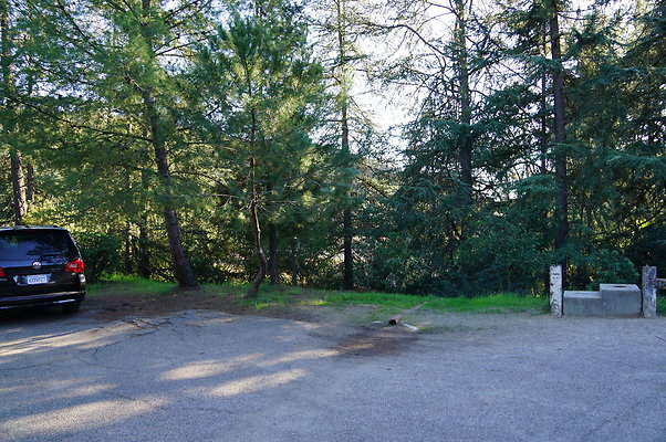 DSC07816