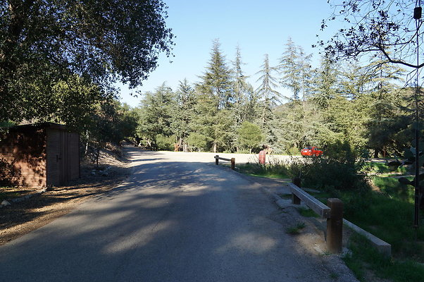 DSC07810