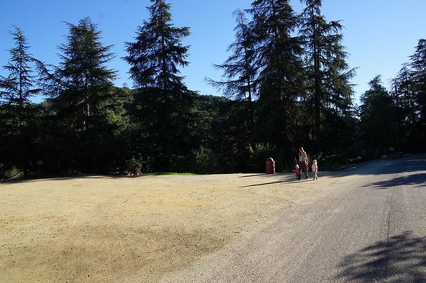 DSC07805