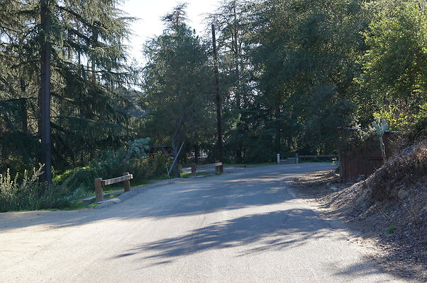 DSC07807