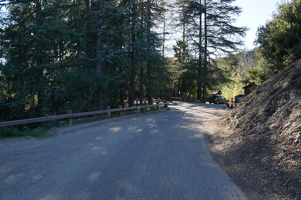 DSC07819