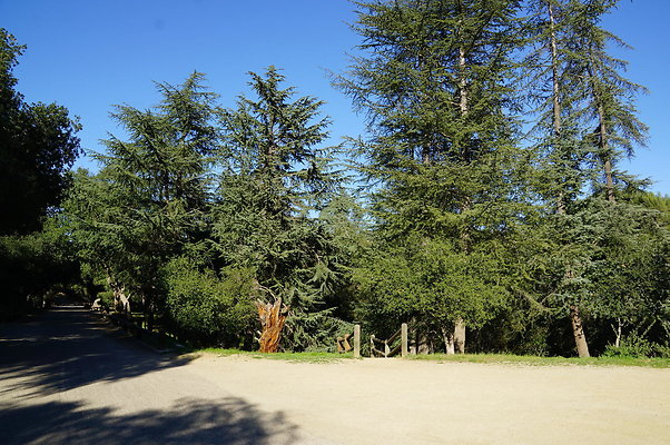 DSC07801