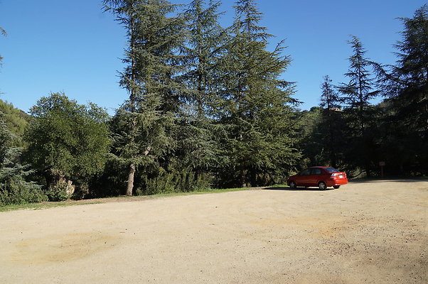 DSC07803