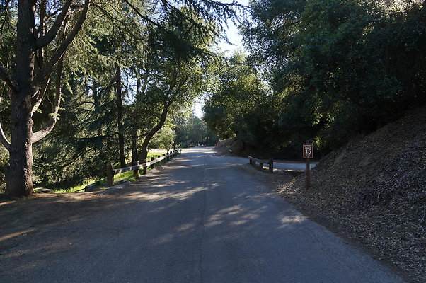 DSC07788