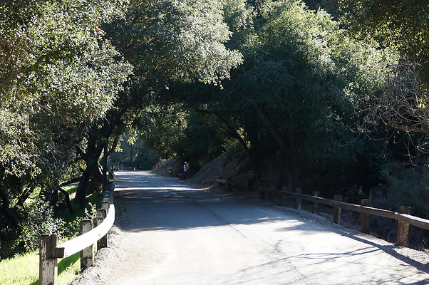 DSC07784