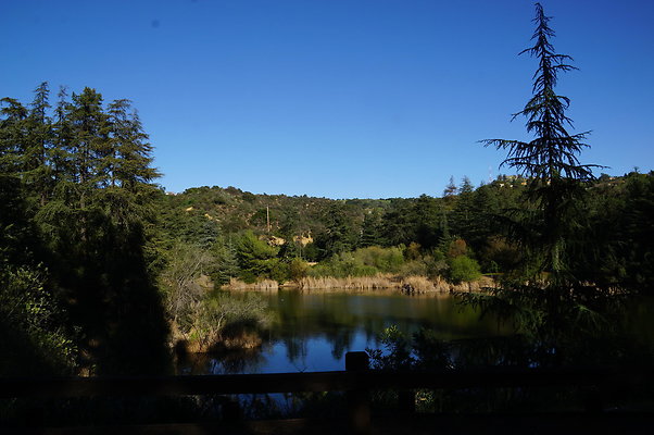 DSC07833