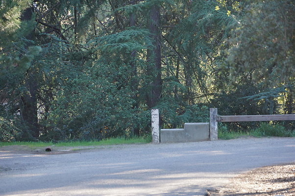 DSC07809