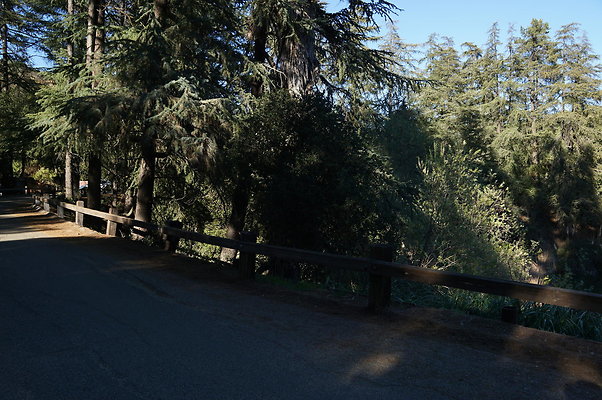 DSC07832