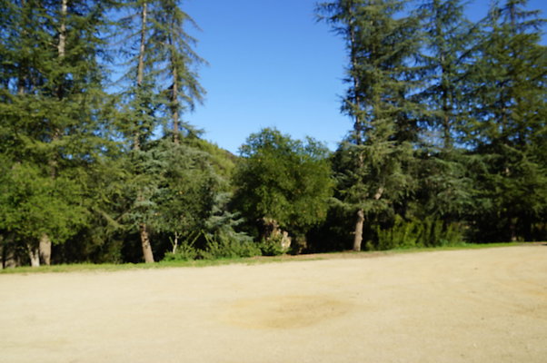 DSC07802