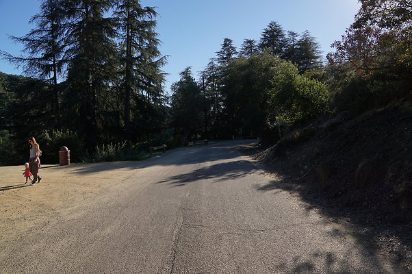 DSC07806