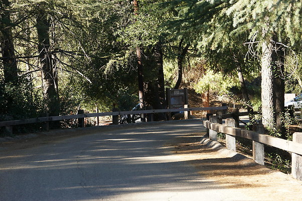 DSC07831