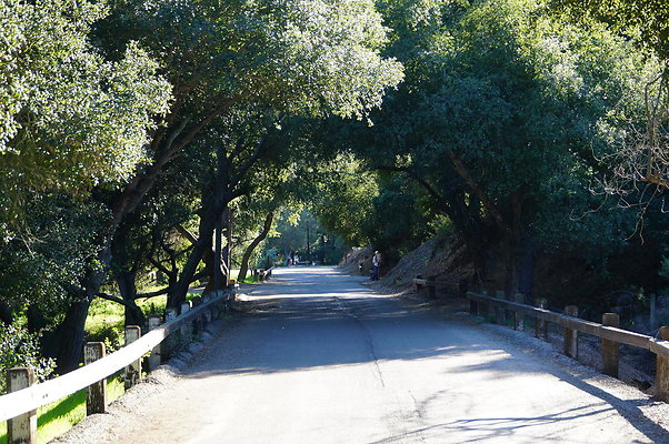 DSC07786