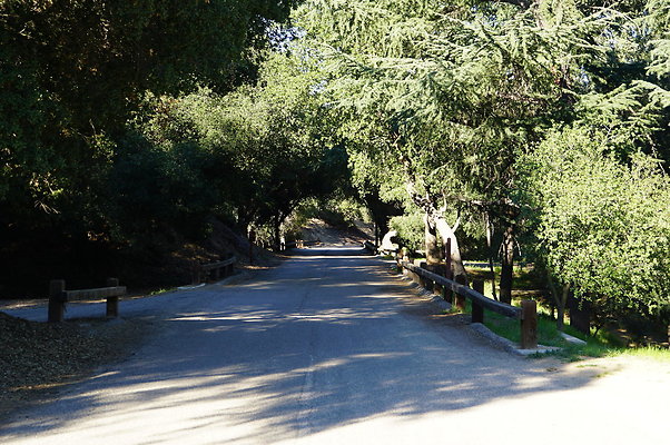 DSC07798
