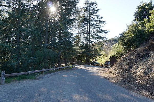 DSC07817