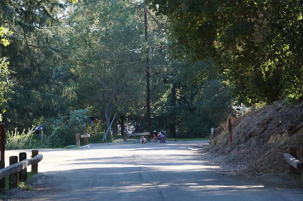 DSC07790