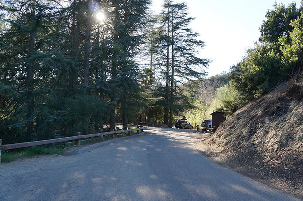 DSC07818