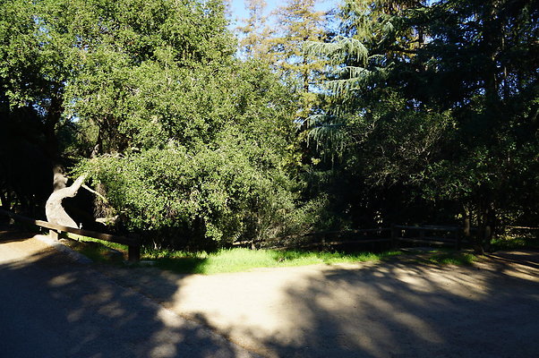 DSC07791