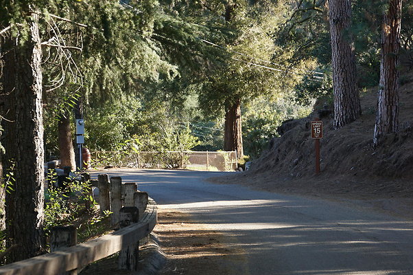 DSC07827