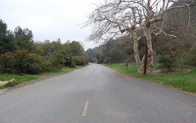 DSC 0238