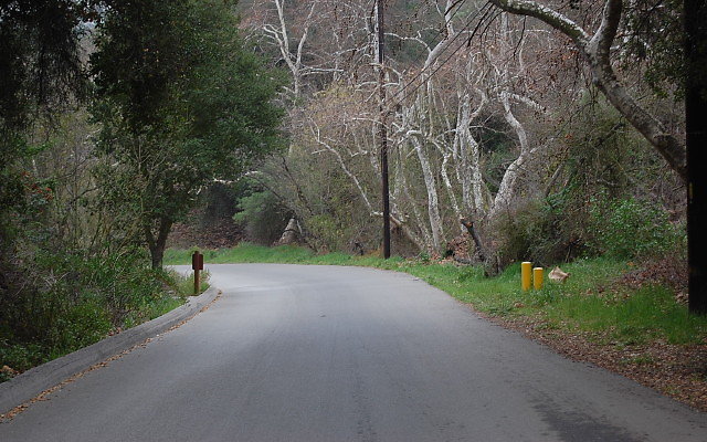 DSC 0224