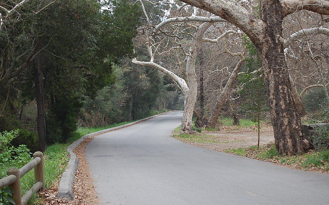 DSC 0216