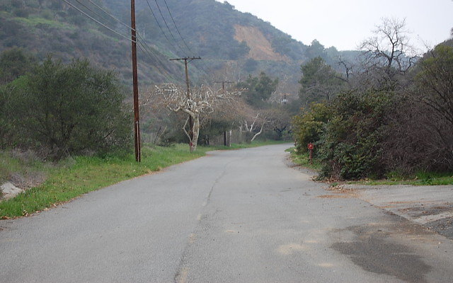 DSC 0245