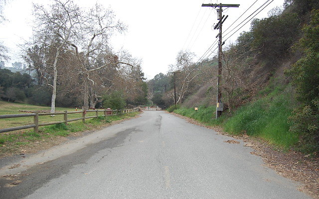 DSC 0243