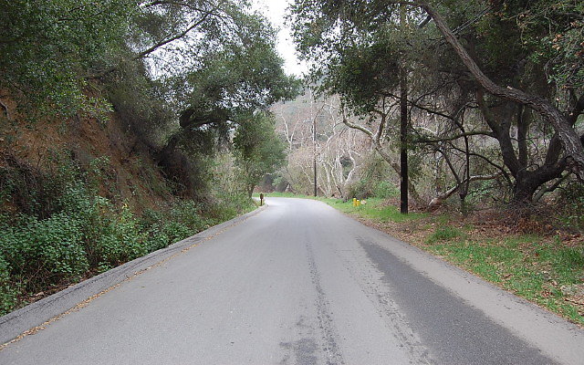 DSC 0223