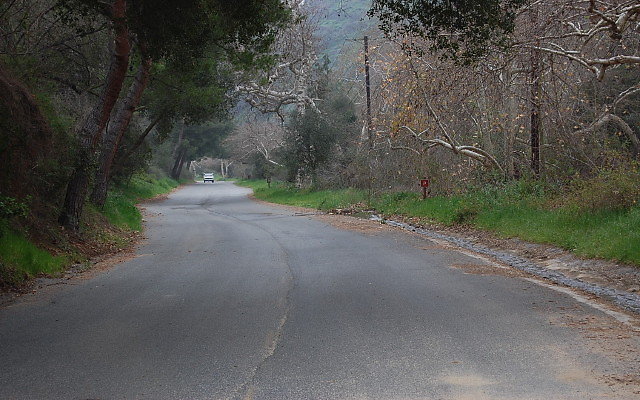 DSC 0230