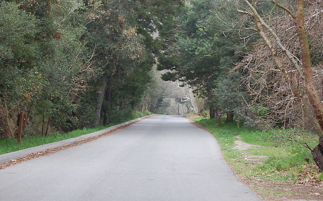 DSC 0217