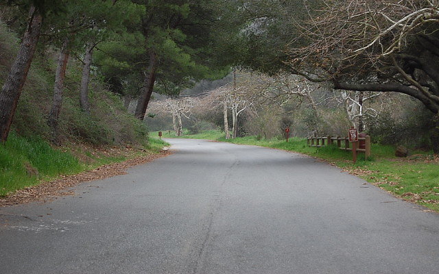 DSC 0234