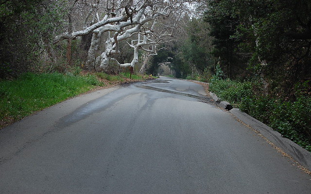 DSC 0251