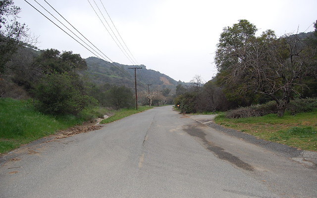 DSC 0246