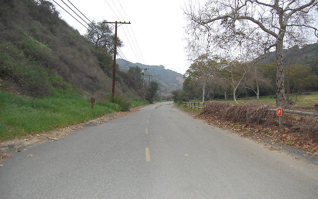 DSC 0241